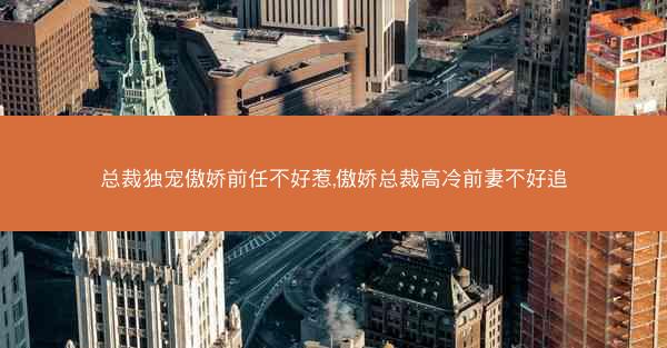 总裁独宠傲娇前任不好惹,傲娇总裁高冷前妻不好追