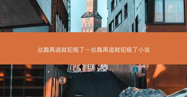 总裁再追就犯规了—总裁再追就犯规了小说