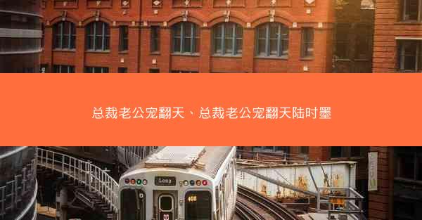 总裁老公宠翻天、总裁老公宠翻天陆时墨