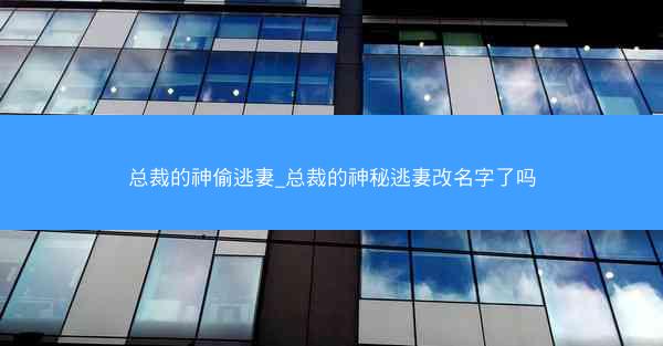 总裁的神偷逃妻_总裁的神秘逃妻改名字了吗