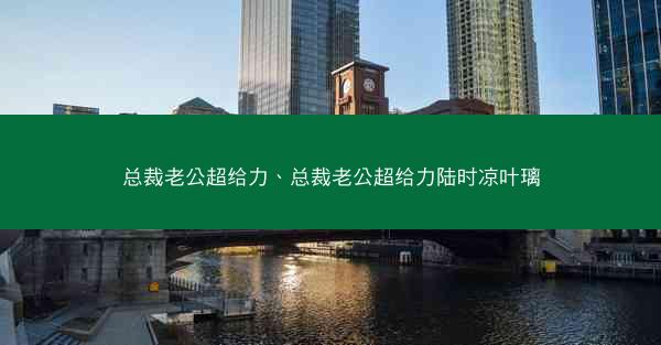 总裁老公超给力、总裁老公超给力陆时凉叶璃