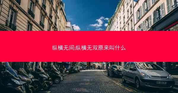 纵横无间;纵横无双原来叫什么