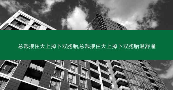 总裁接住天上掉下双胞胎,总裁接住天上掉下双胞胎温舒潼