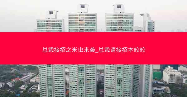 总裁接招之米虫来袭_总裁请接招木皎皎
