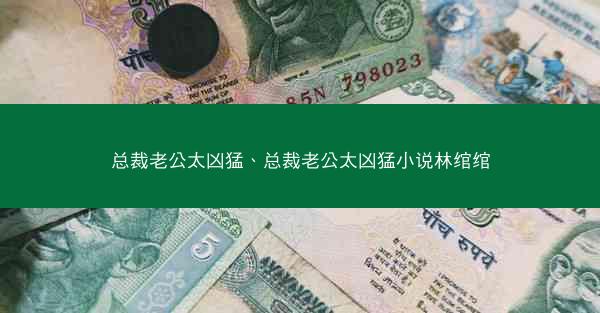 总裁老公太凶猛、总裁老公太凶猛小说林绾绾