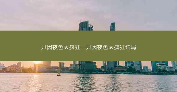 只因夜色太疯狂—只因夜色太疯狂结局