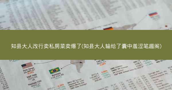 知县大人改行卖私房菜卖爆了(知县大人输给了囊中羞涩笔趣阁)