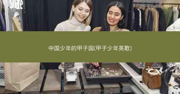 中国少年的甲子园(甲子少年英歌)