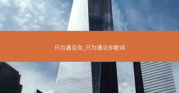 只为遇见你_只为遇见你歌词