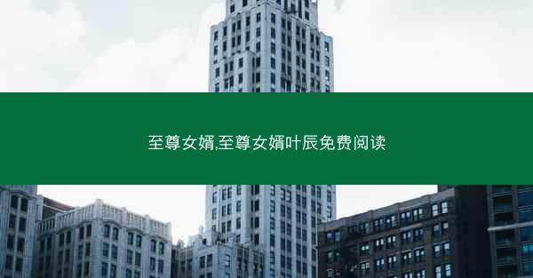 至尊女婿,至尊女婿叶辰免费阅读