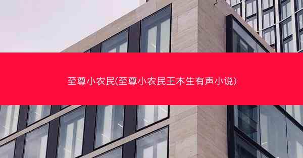 至尊小农民(至尊小农民王木生有声小说)