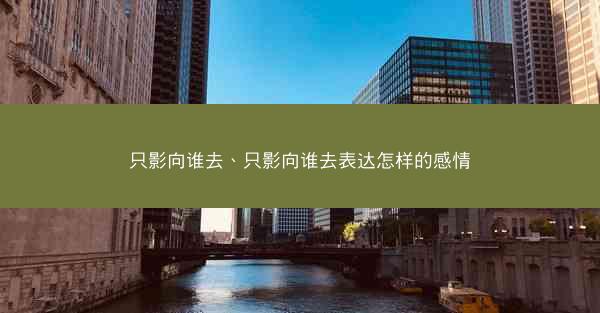 只影向谁去、只影向谁去表达怎样的感情
