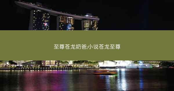 至尊苍龙奶爸;小说苍龙至尊