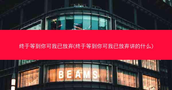 终于等到你可我已放弃(终于等到你可我已放弃讲的什么)