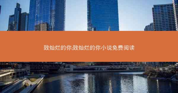 致灿烂的你;致灿烂的你小说免费阅读