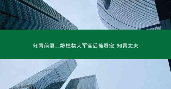 知青前妻二嫁植物人军官后被爆宠_知青丈夫