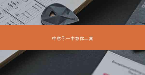 中意你—中意你二喜