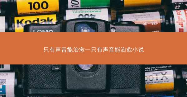 只有声音能治愈—只有声音能治愈小说