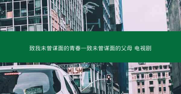 致我未曾谋面的青春—致未曾谋面的父母 电视剧