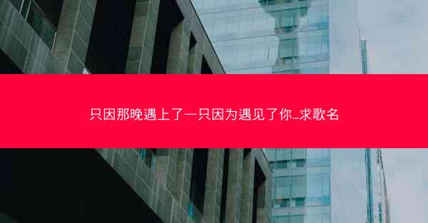 只因那晚遇上了—只因为遇见了你...求歌名