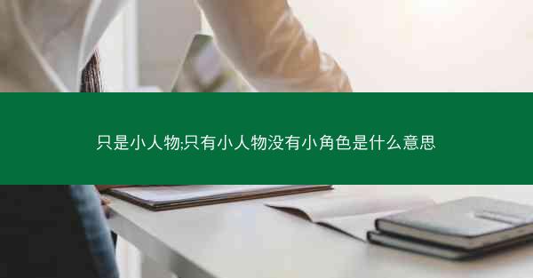 只是小人物;只有小人物没有小角色是什么意思