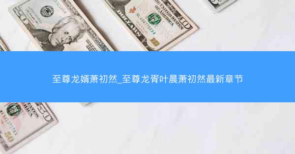 至尊龙婿萧初然_至尊龙胥叶晨萧初然最新章节