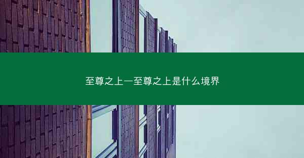 至尊之上—至尊之上是什么境界
