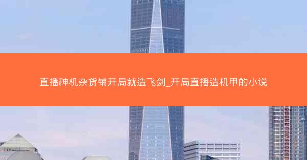 直播神机杂货铺开局就造飞剑_开局直播造机甲的小说