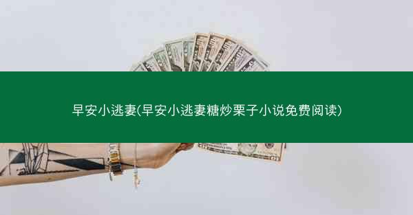 早安小逃妻(早安小逃妻糖炒栗子小说免费阅读)