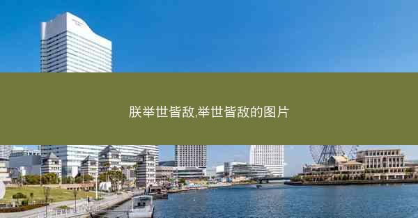 朕举世皆敌,举世皆敌的图片