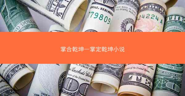 掌合乾坤—掌定乾坤小说