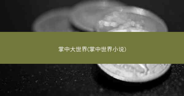 掌中大世界(掌中世界小说)