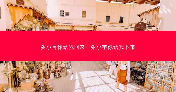 张小言你给我回来—张小宇你给我下来