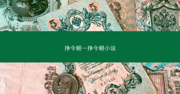 挣今朝—挣今朝小说