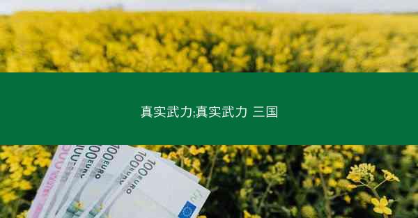 真实武力;真实武力 三国