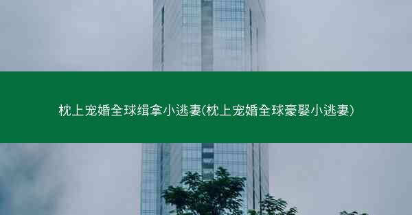 枕上宠婚全球缉拿小逃妻(枕上宠婚全球豪娶小逃妻)