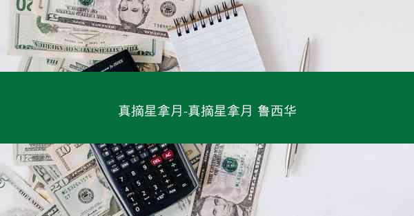 真摘星拿月-真摘星拿月 鲁西华