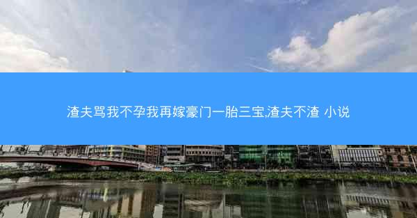 渣夫骂我不孕我再嫁豪门一胎三宝,渣夫不渣 小说