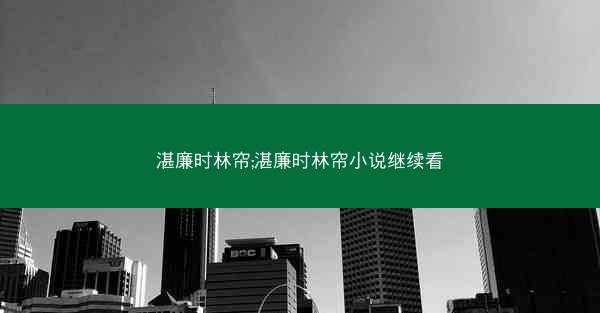 湛廉时林帘;湛廉时林帘小说继续看