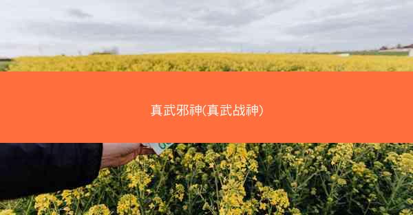 真武邪神(真武战神)