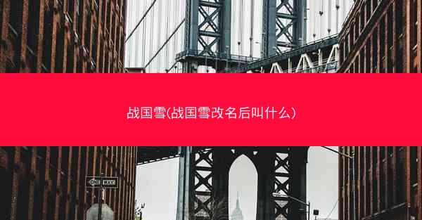 战国雪(战国雪改名后叫什么)