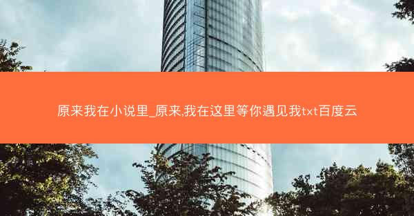 原来我在小说里_原来,我在这里等你遇见我txt百度云