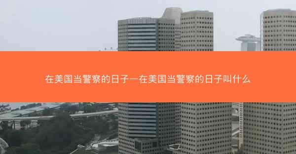 在美国当警察的日子—在美国当警察的日子叫什么