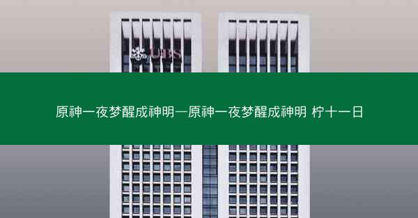 原神一夜梦醒成神明—原神一夜梦醒成神明 柠十一日