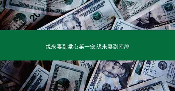 缘来妻到掌心第一宠,缘来妻到南绯