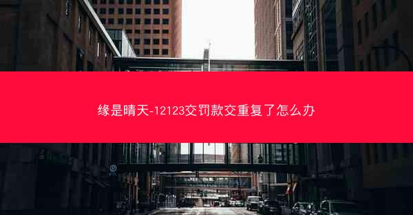 缘是晴天-12123交罚款交重复了怎么办