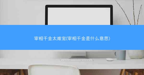 宰相千金太难宠(宰相千金是什么意思)
