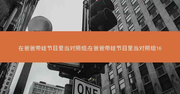 在爸爸带娃节目里当对照组;在爸爸带娃节目里当对照组16
