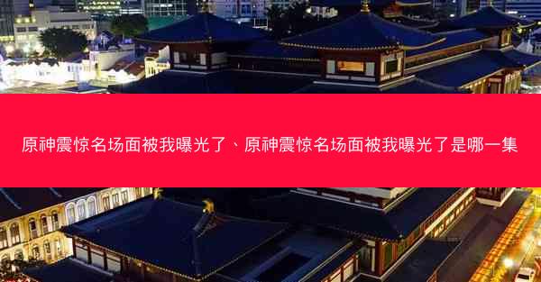 原神震惊名场面被我曝光了、原神震惊名场面被我曝光了是哪一集
