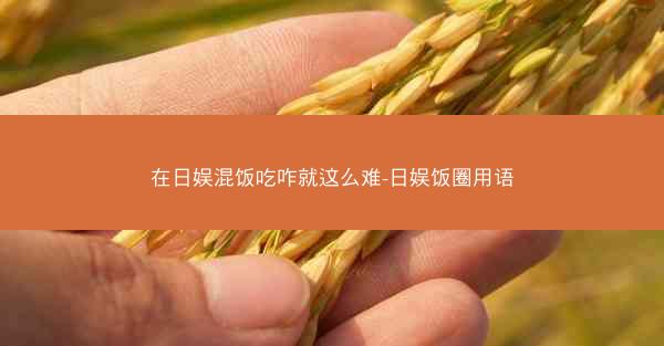在日娱混饭吃咋就这么难-日娱饭圈用语